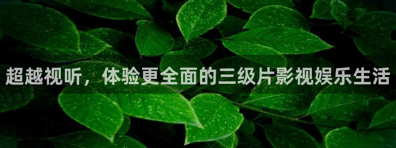 新闻图片