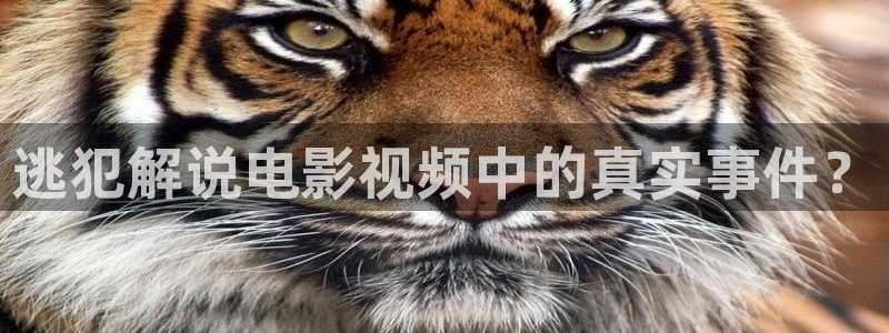 西瓜电影手机版