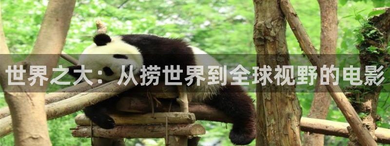 西瓜理论片在线看免费