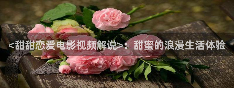 解放海南岛全集免费观看西瓜