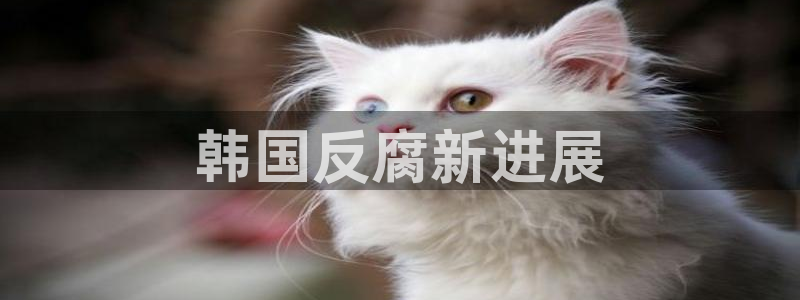 方西瓜