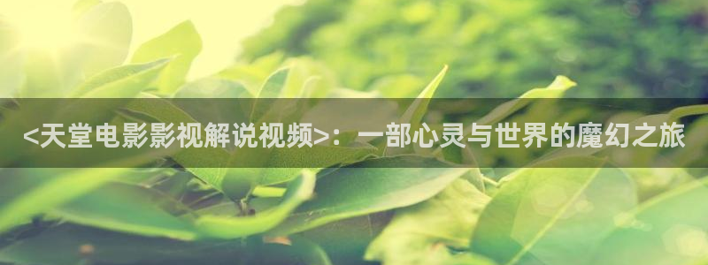 司藤在线观看免费完整版西瓜