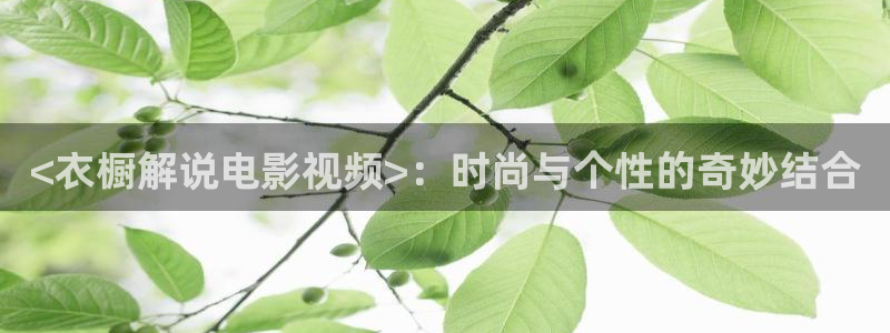 西瓜影院午夜片