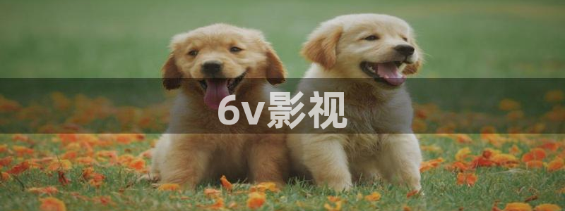 少帅电视剧全集免费观看西瓜