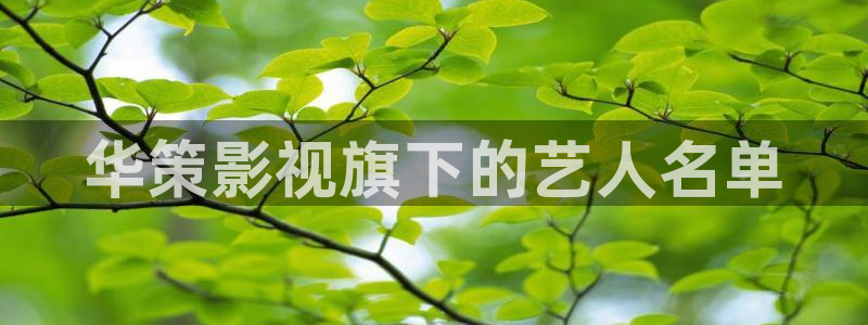 西瓜影院2