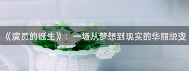 最新电影 西瓜