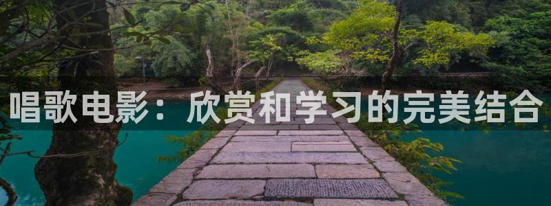 棋士电视剧免费观看完整版西瓜
