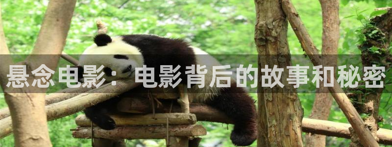 师兄啊师兄免费观看西瓜