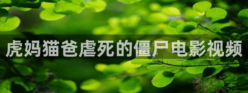 西瓜黄色影院
