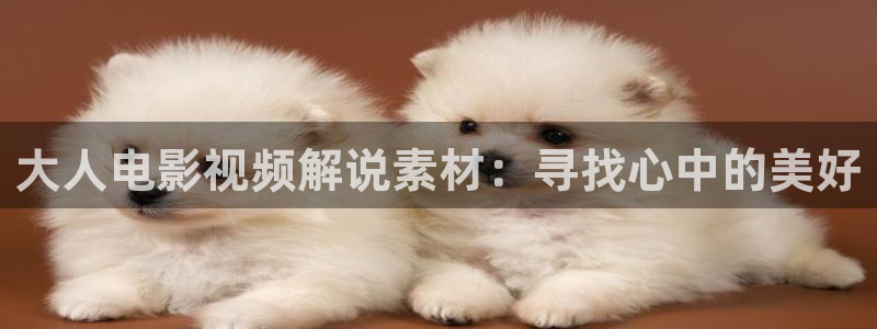 西瓜影院电视剧免费看2023