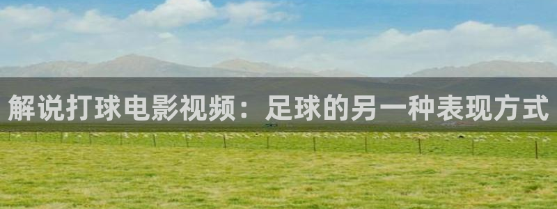 西瓜视频在线观看电视
