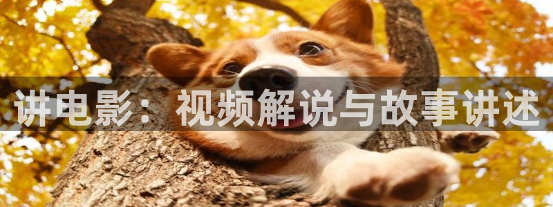 西瓜免费影视网