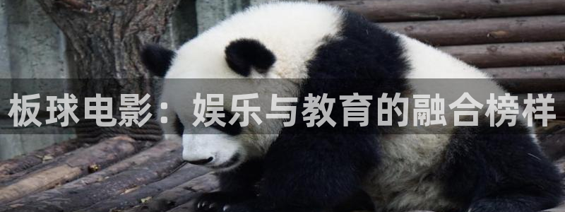 长相思第一季免费观看西瓜影院