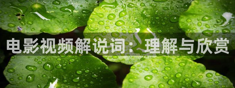 狂飙西瓜影院