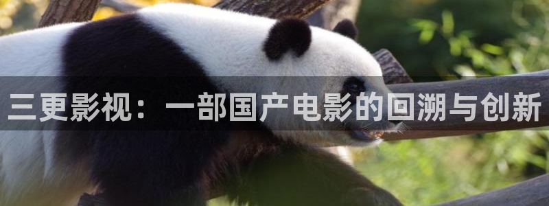 西瓜琪琪影院