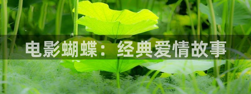 西瓜影院在线观看免费高清电视剧我