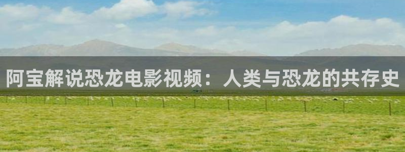 西瓜的