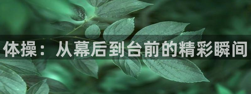 新闻图片