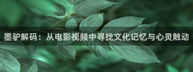 新闻图片